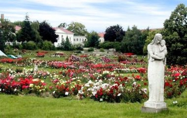 Rózsafesztivál Baden bei Wien-ben +Laxenburgi kastély