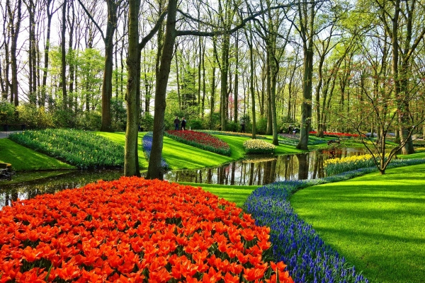 Hollandia - a szélmalmok, csatornák, virágok világa